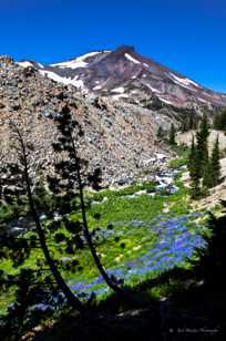 South Sister-5965.jpg South Sister-5965.jpg